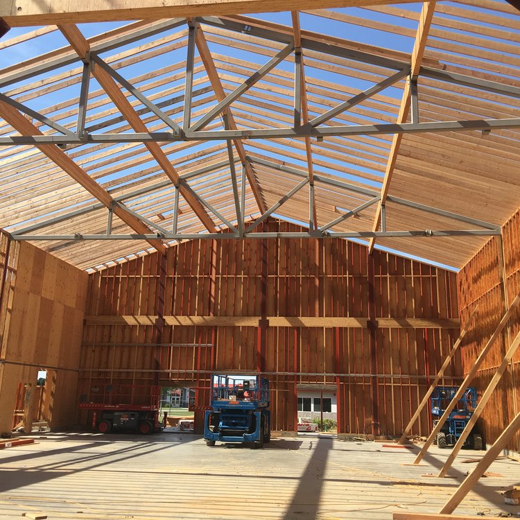 Roof truss framing interior